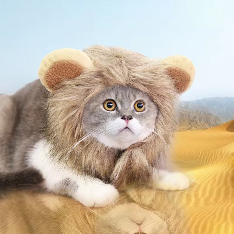 Cute Lion Mane Cat Wig Pet Small Dog Cats Costume Lion Mane Wig Cap Hat for Cat Dogs Fancy Costume Cosplay Toy Pet Supplies